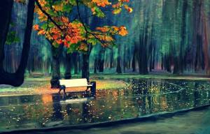 tree and bench
